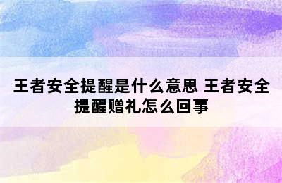 王者安全提醒是什么意思 王者安全提醒赠礼怎么回事